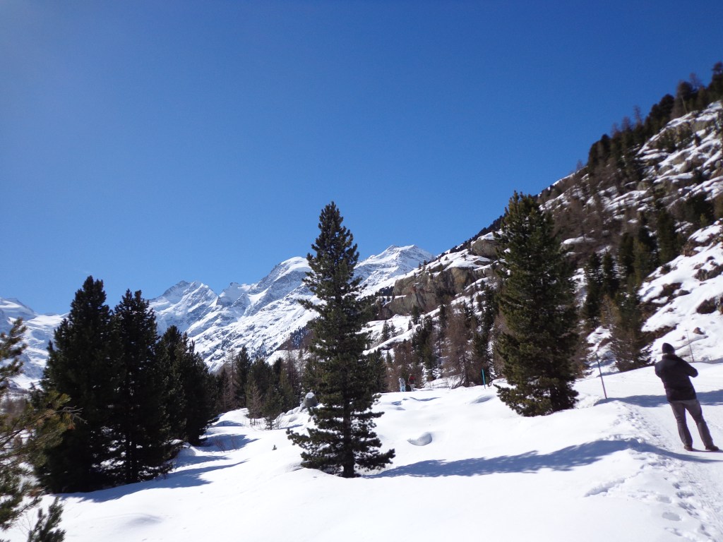 Engadina