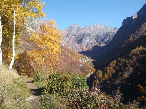 IMG_20151031_100238_1